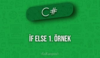 C# if else 1. örnek