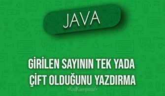 Java girilen sayının tek yada çift olduğunu yazdırma