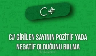 C# Girilen Sayının Pozitif Yada Negatif Olduğunu Bulma