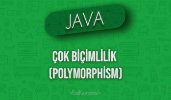 Java'da Çok Biçimlilik (Polymorphism)