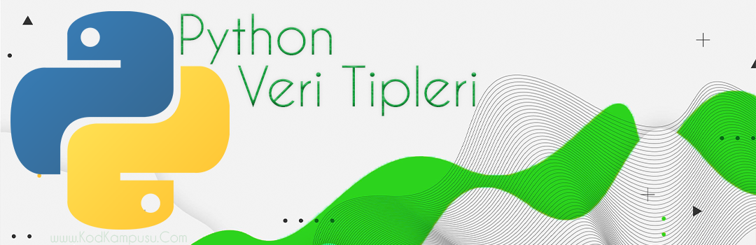 Python Veri Tipleri