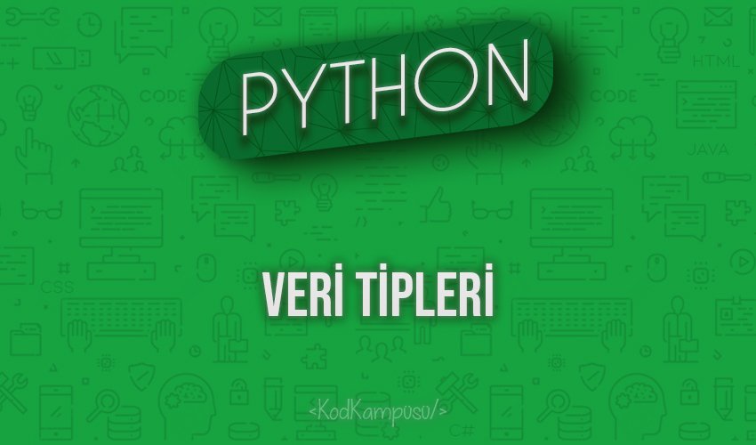 Python Veri Tipleri