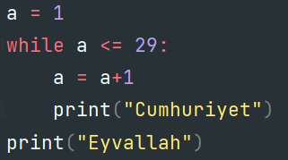 29 kere cumhuriyet yazan ve 30. döngüde eyvallah yazan kod